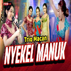 Trio Macan Nyekel Manuk Mp3