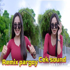 Dj Tanti - Remix Pargoy Worth It Paling Dicari Buat Cek Sound Mp3