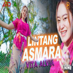 Vita Alvia - Lintang Asmoro Remix Version Mp3