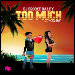 DJ Brooke Bailey Ft T-Classic Too Much Mp3