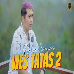 Delva Irawan - Wes Tatas 2 Mp3