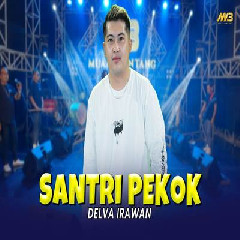 Delva Irawan - Santri Pekok Feat Bintang Fortuna Mp3