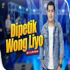 Delva Irawan Dipetik Wong Liyo Feat Om Sera Mp3