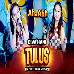 Diva Hani - Tulus Electone Version Mp3