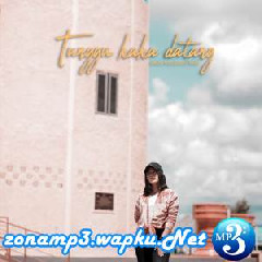 Near - Tunggu Kaka Datang (feat. Sanza Soleman) Mp3